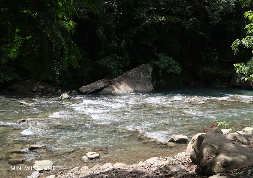 IMG_7287.JPG