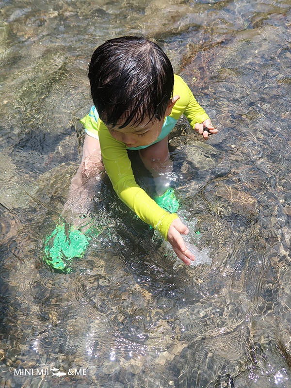 IMG_7352.JPG