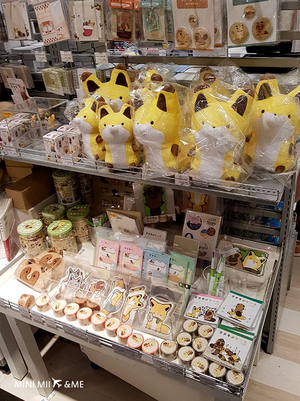 20180224_174535.jpg