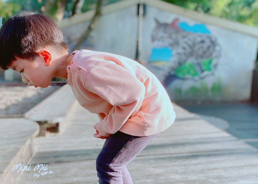 S__81551364.jpg