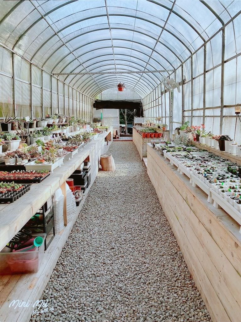 S__81575953.jpg