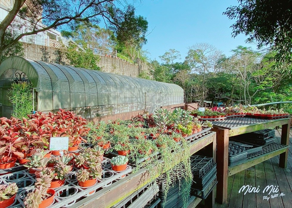 S__81575955.jpg