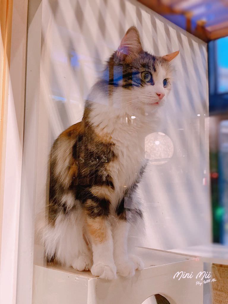 S__81584183.jpg