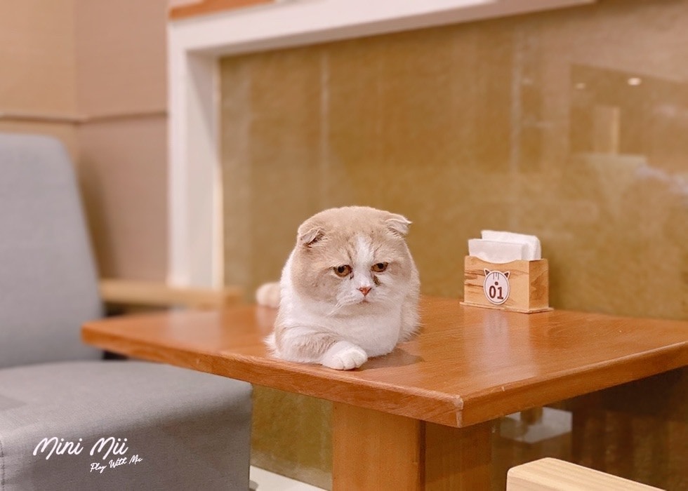 S__81584191.jpg