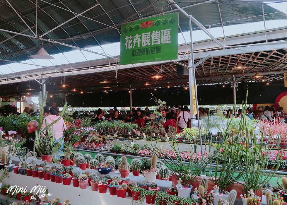 S__82452560.jpg