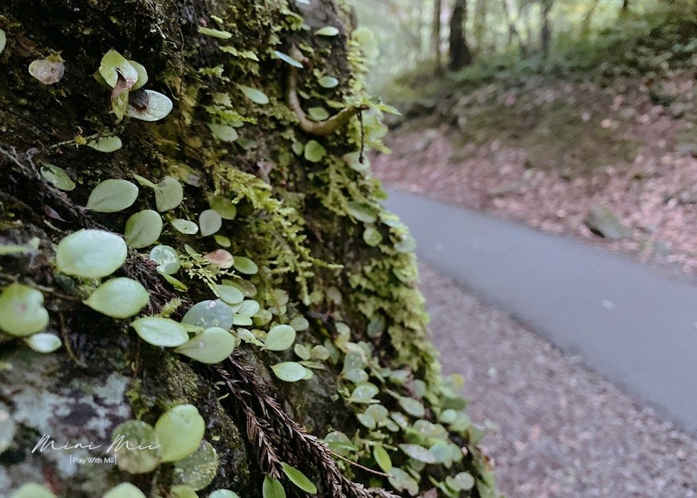 S__87916550.jpg