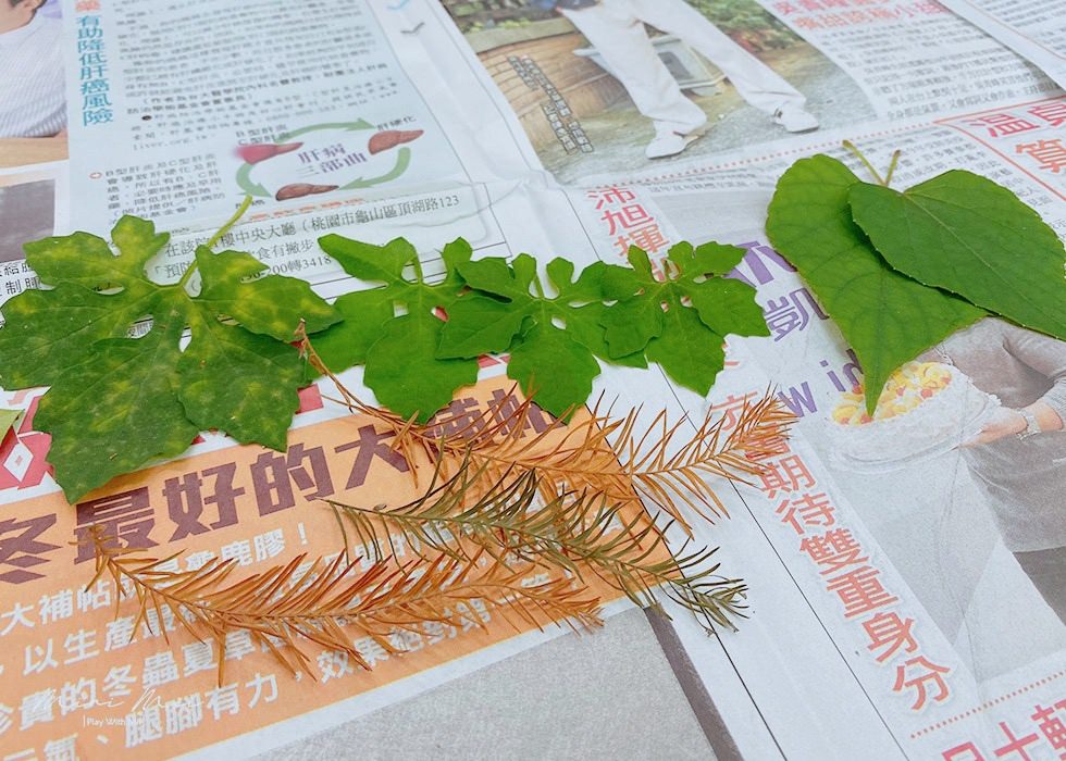 S__90857550.jpg