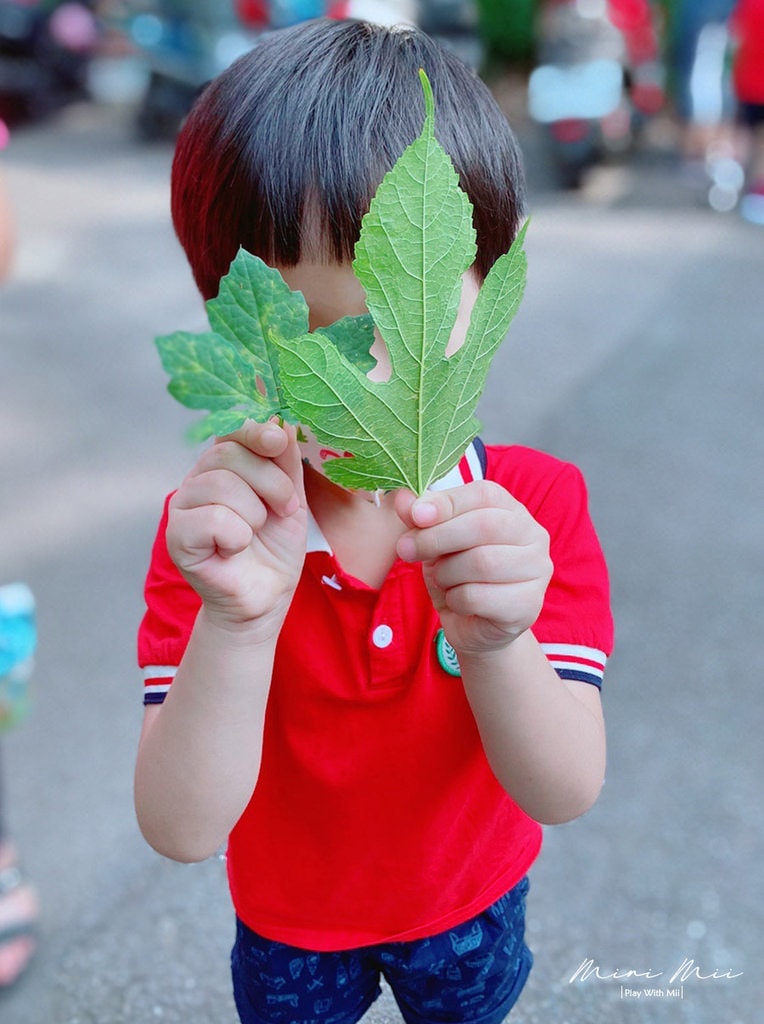 S__90857552.jpg