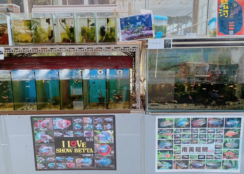 S__90857577.jpg