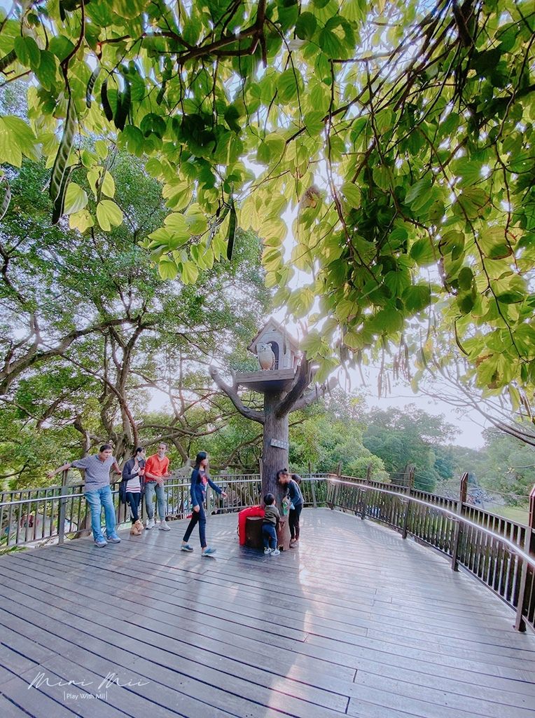 S__92561535.jpg