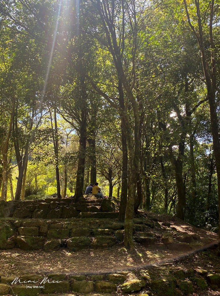 S__98279517.jpg