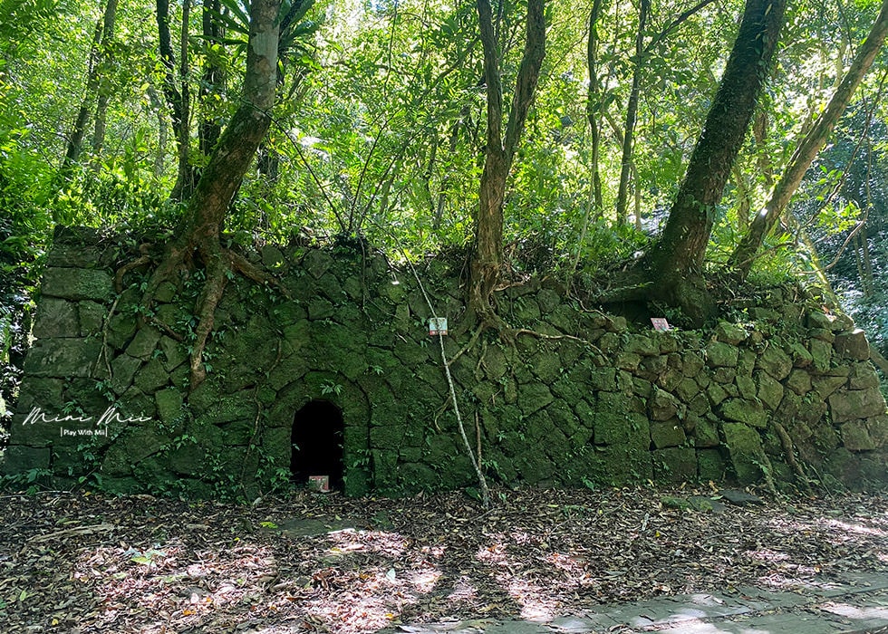 S__98279572.jpg