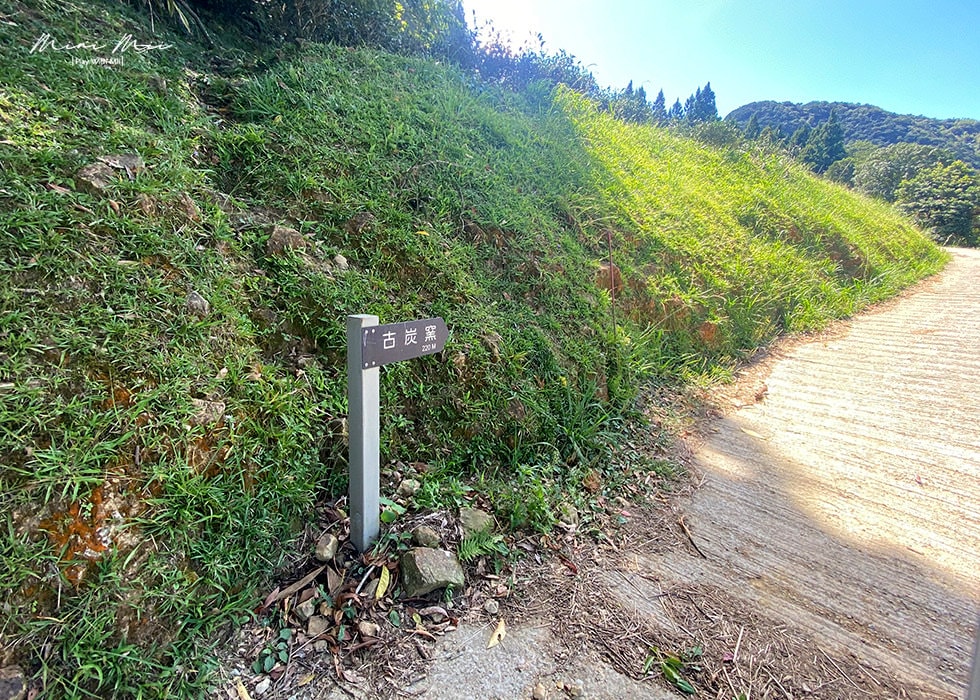 S__98279664.jpg