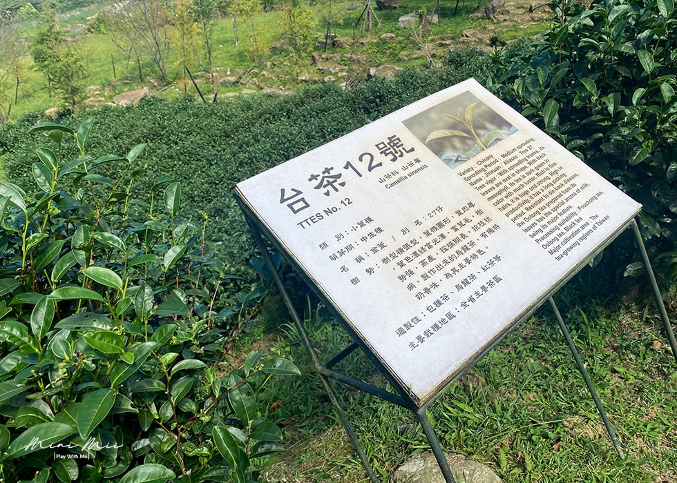 S__98279666.jpg