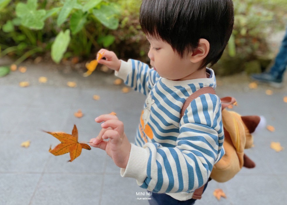 S__100761703.jpg