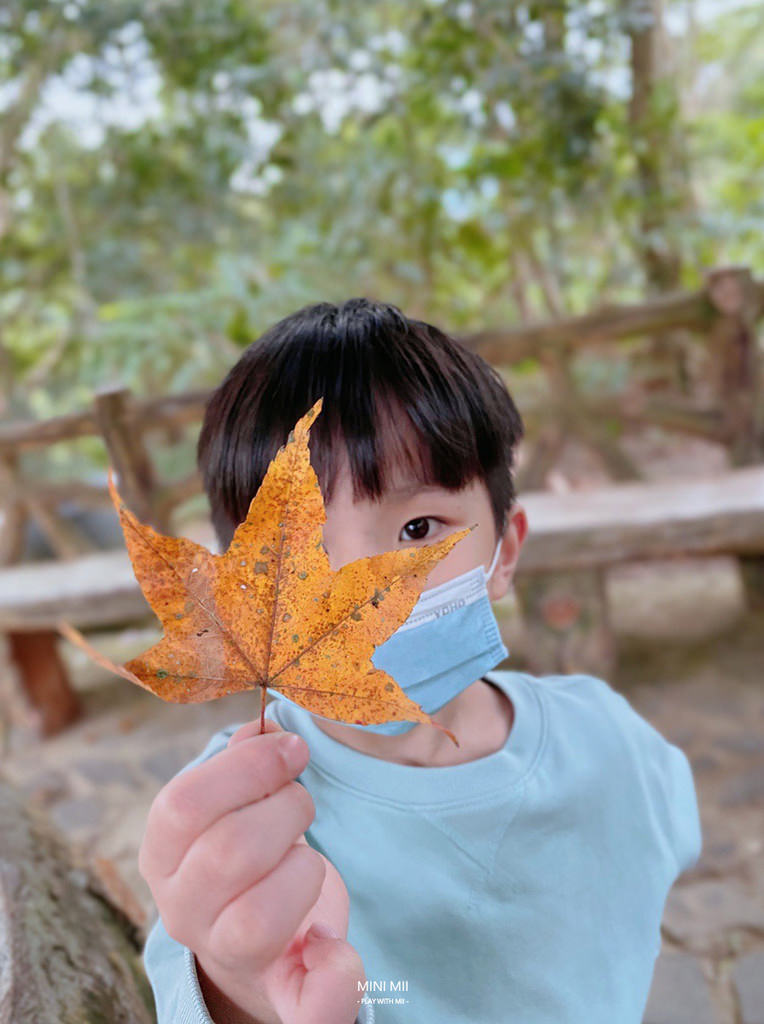 S__100761710.jpg