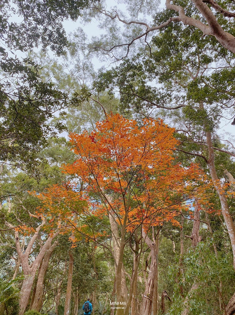 S__100761711.jpg
