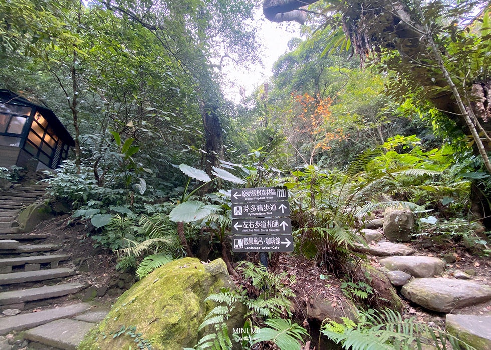 S__100761718.jpg