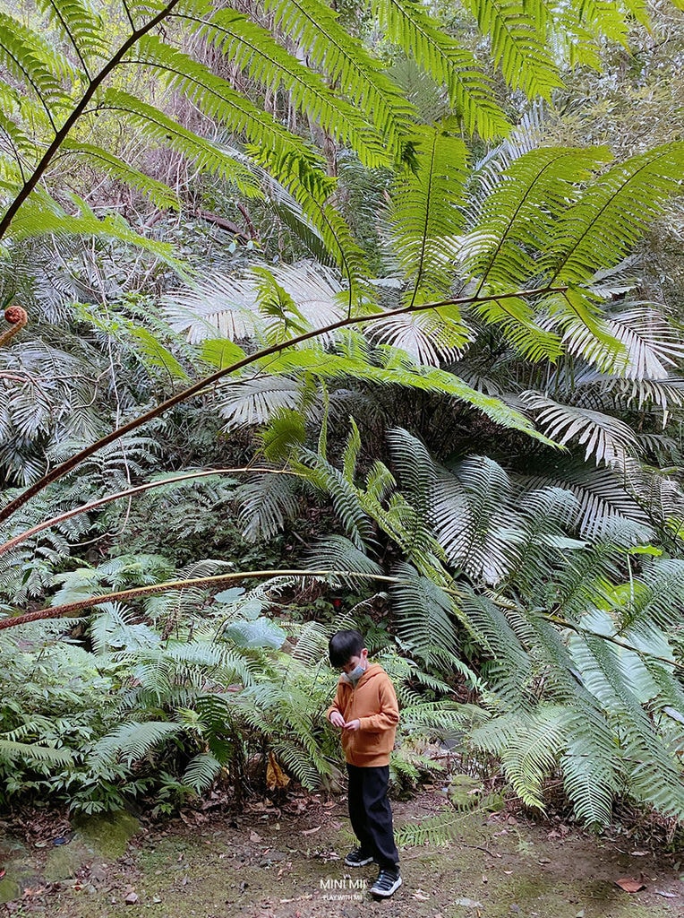S__100761717.jpg