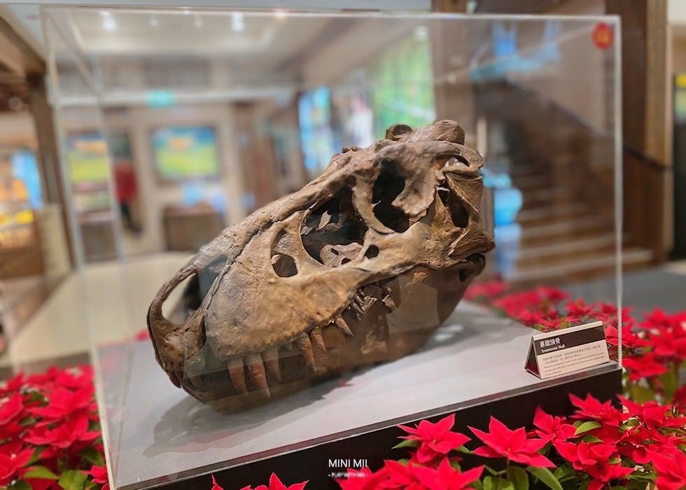 S__100917288.jpg