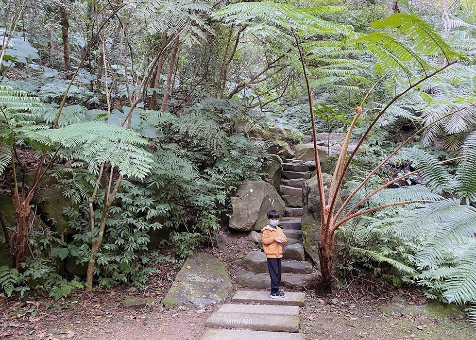 S__100917296.jpg