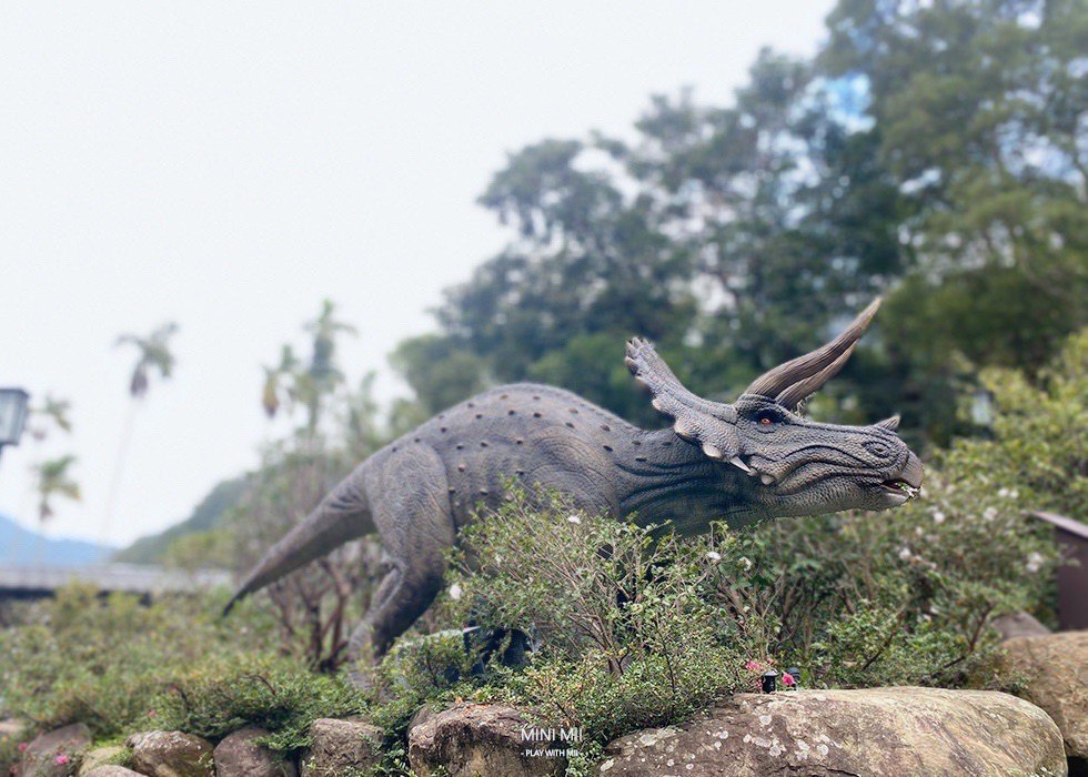 S__100917292.jpg