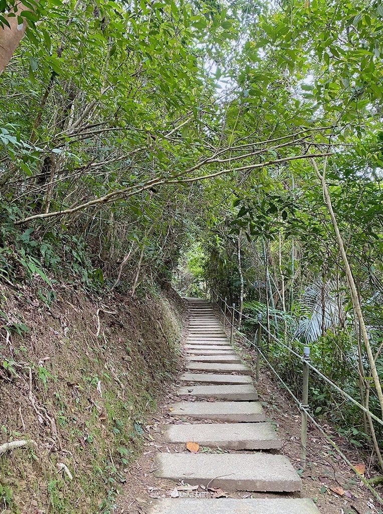 S__100917300.jpg