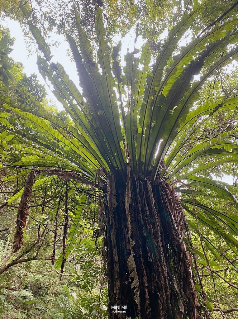 S__100917298.jpg