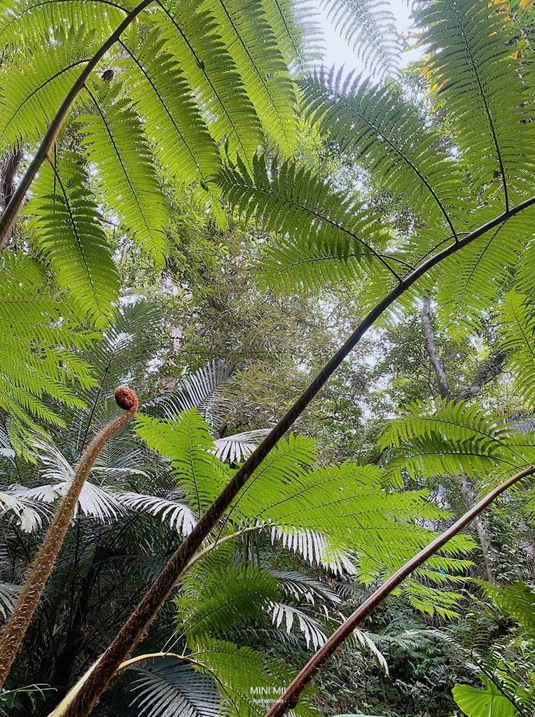 S__100917297.jpg