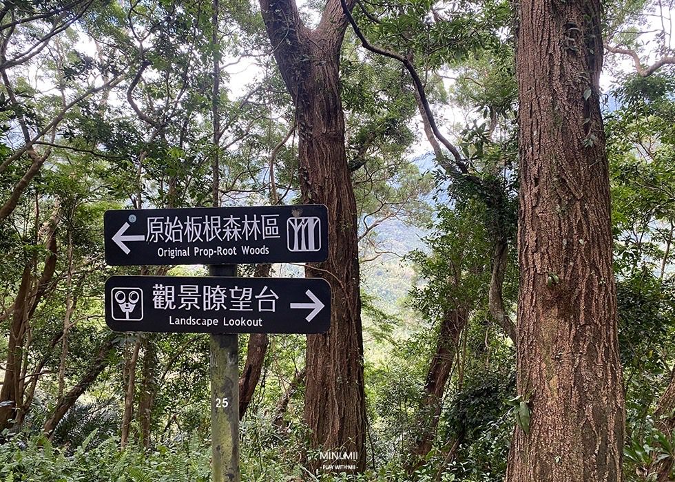 S__100917301.jpg