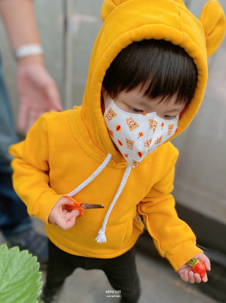 S__101007384.jpg