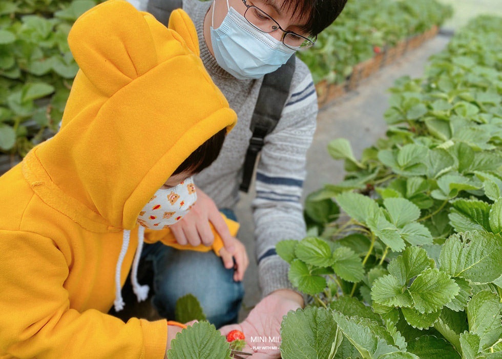 S__101007391.jpg