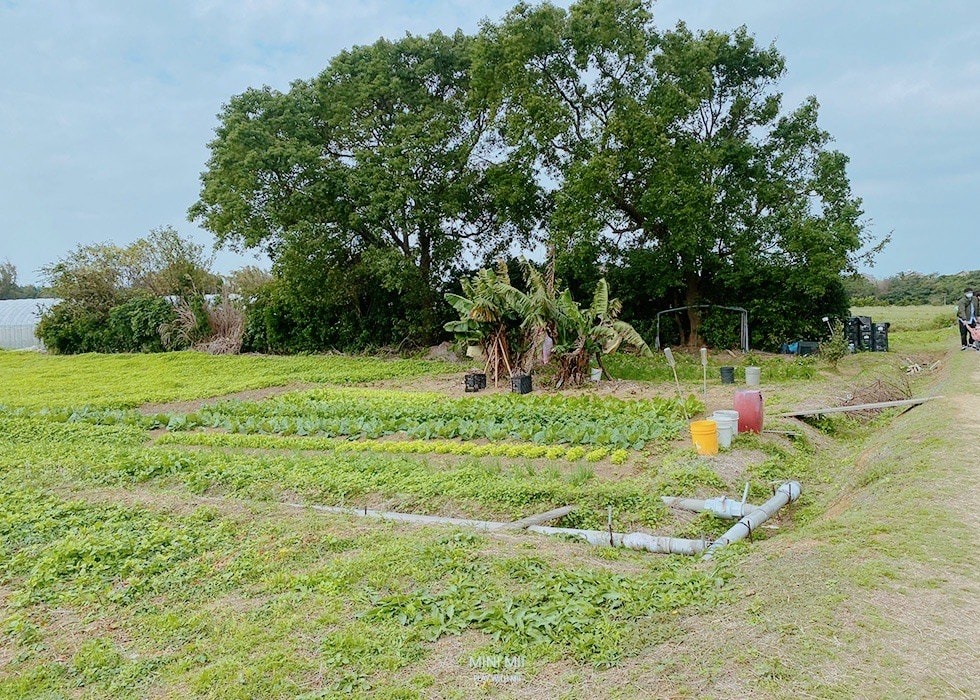 S__101081197.jpg