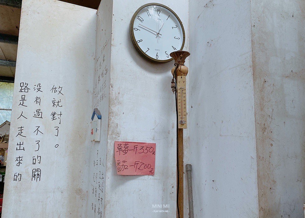 S__101081205.jpg