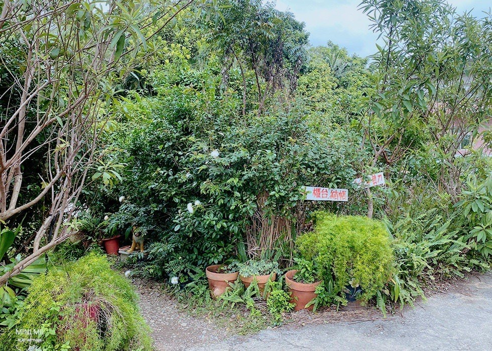 S__101081208.jpg
