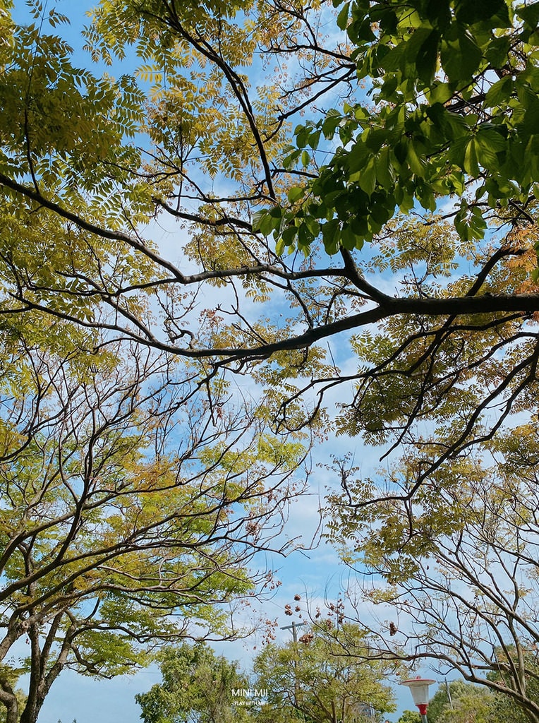 S__101916733.jpg