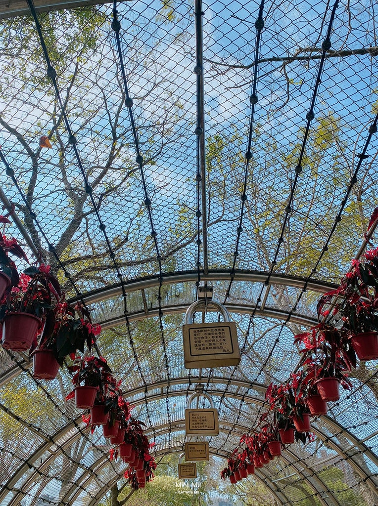 S__101916734.jpg