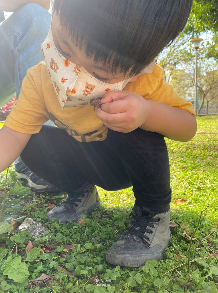 S__101916780.jpg