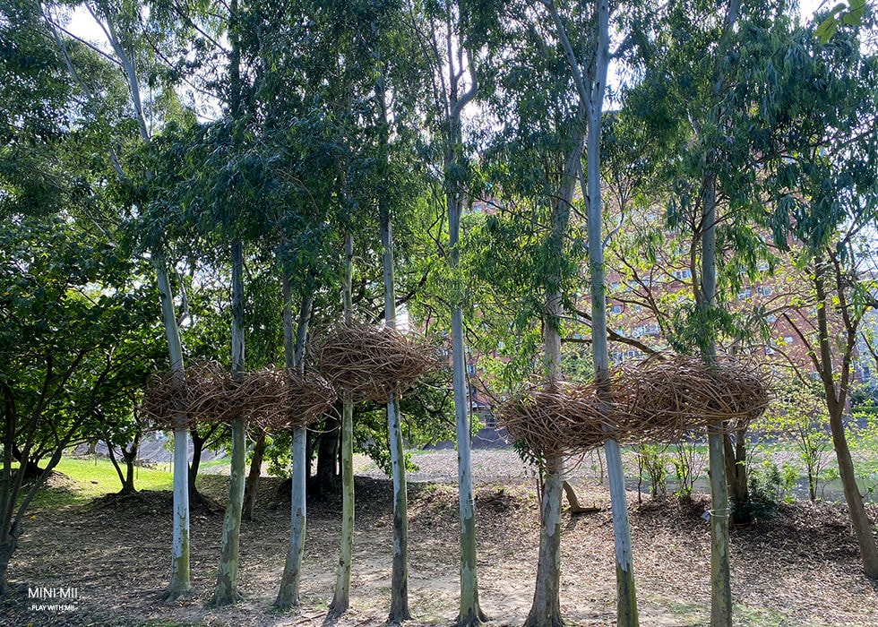 S__101916808.jpg