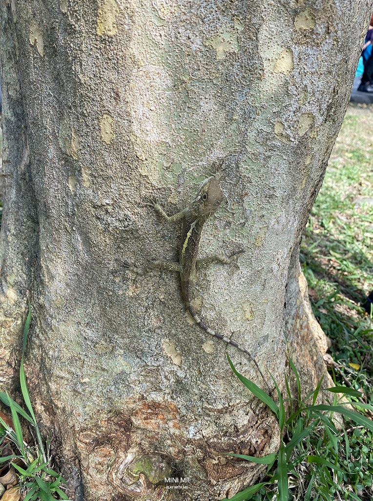 S__101916819.jpg