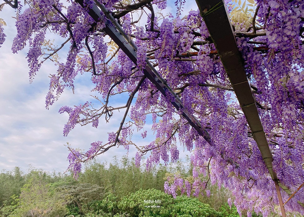 S__102170819.jpg