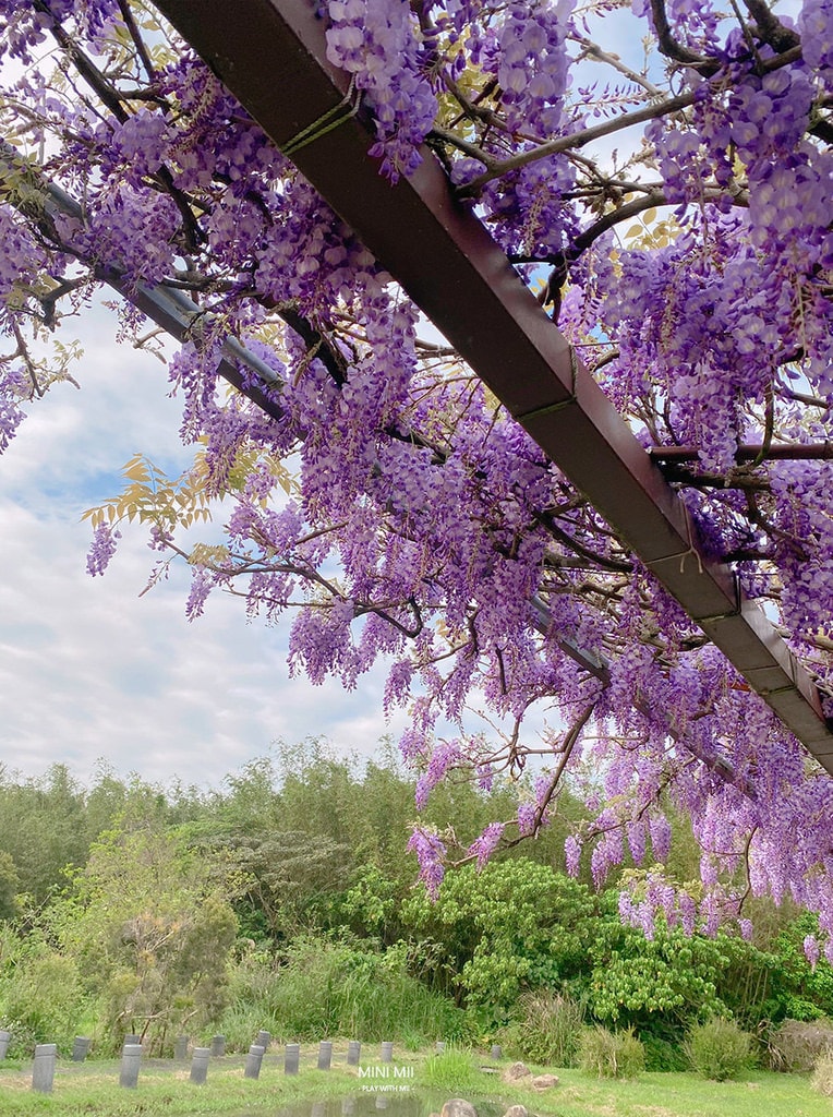 S__102170821.jpg