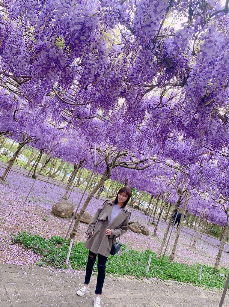 S__102170869.jpg