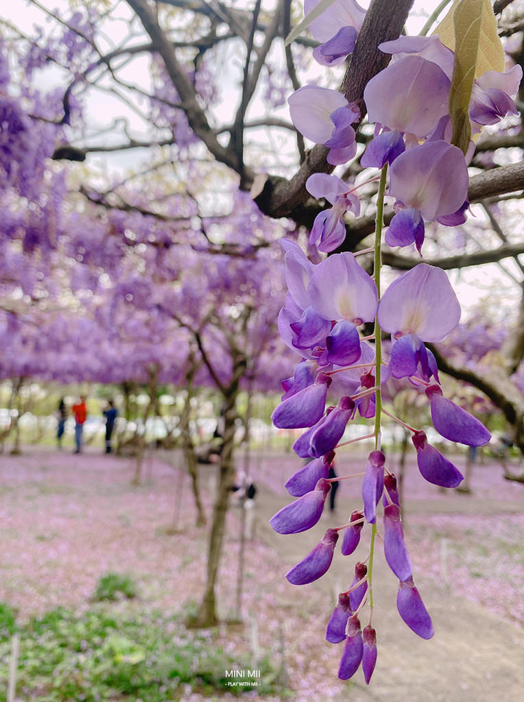S__102170861.jpg