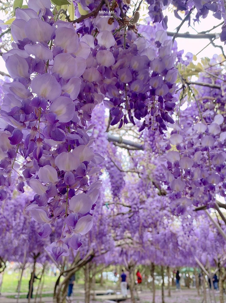 S__102170883.jpg