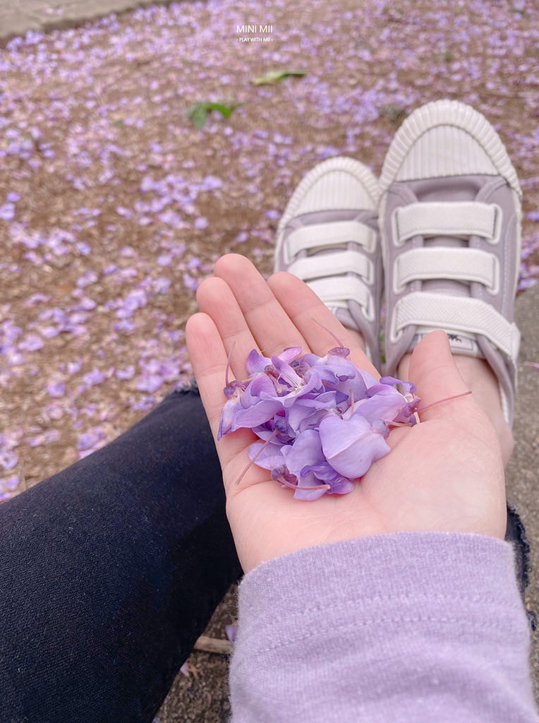 S__102170905.jpg