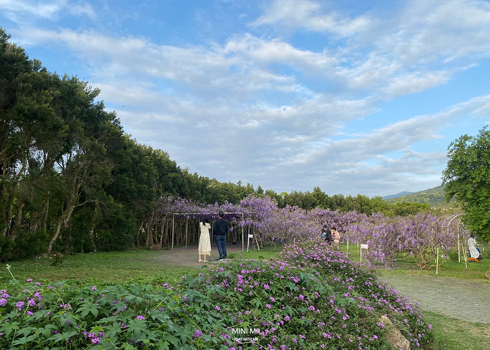 S__102170973.jpg