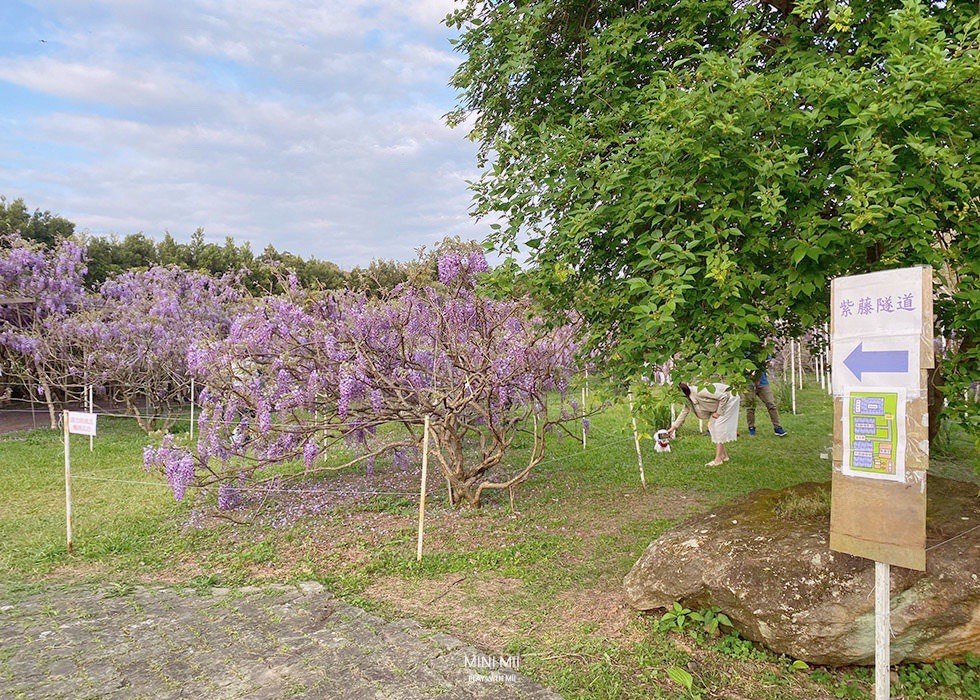 S__102171015.jpg