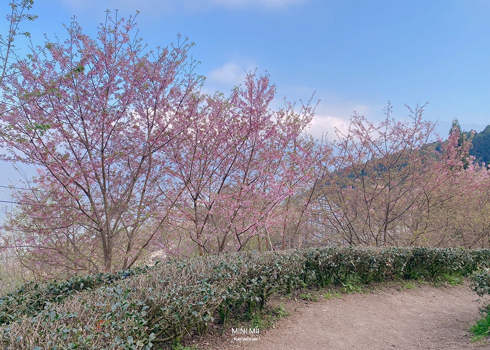 S__102187061.jpg