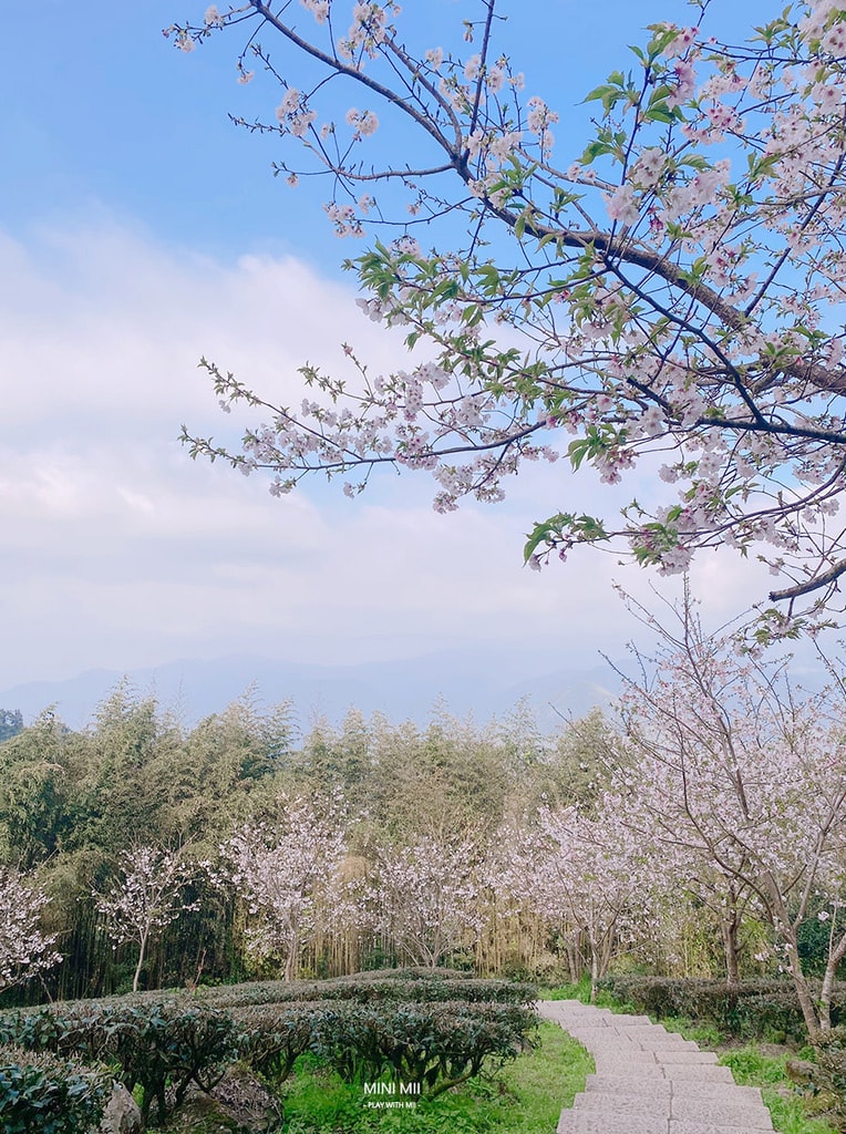 S__102187093.jpg